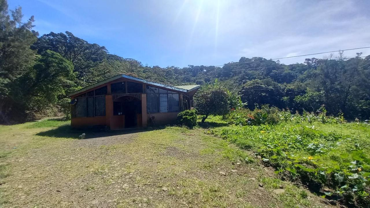 Finca Pantera Hotel Monteverde Ngoại thất bức ảnh