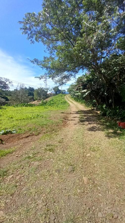 Finca Pantera Hotel Monteverde Ngoại thất bức ảnh