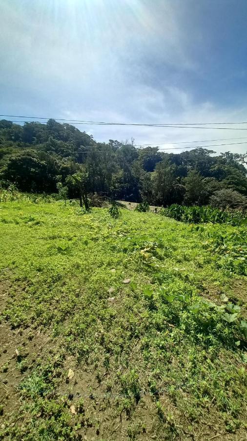 Finca Pantera Hotel Monteverde Ngoại thất bức ảnh