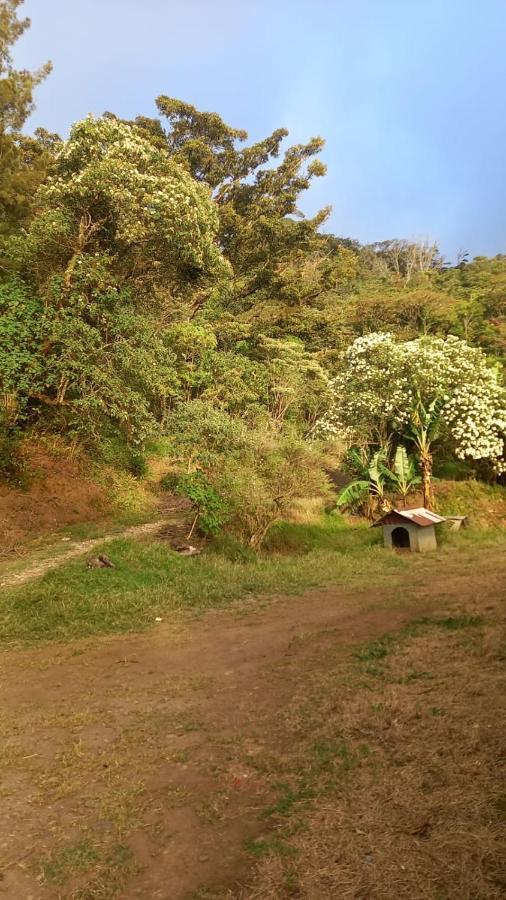 Finca Pantera Hotel Monteverde Ngoại thất bức ảnh