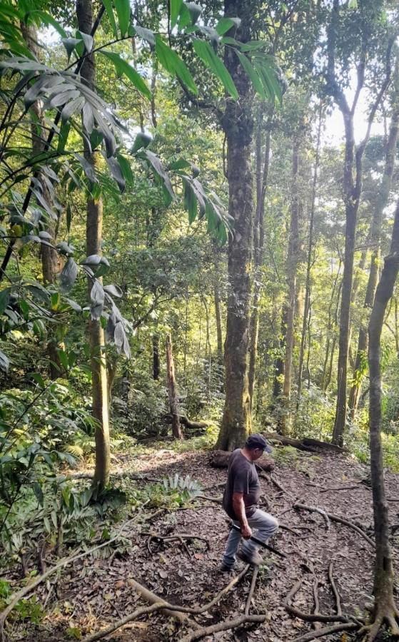 Finca Pantera Hotel Monteverde Ngoại thất bức ảnh