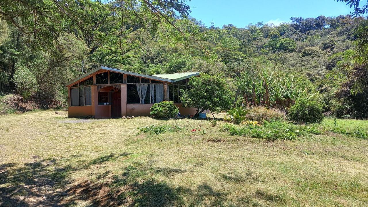 Finca Pantera Hotel Monteverde Ngoại thất bức ảnh